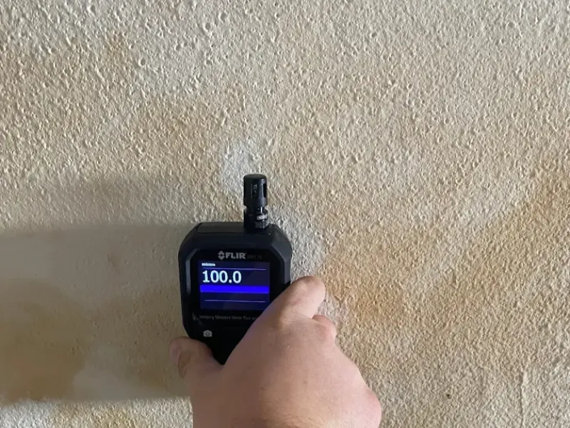 Technician checking wall for mold using moisture detection equipment