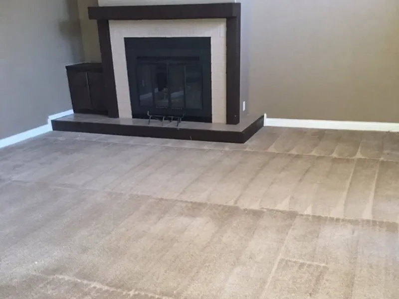 Technician cleaning carpet in living room